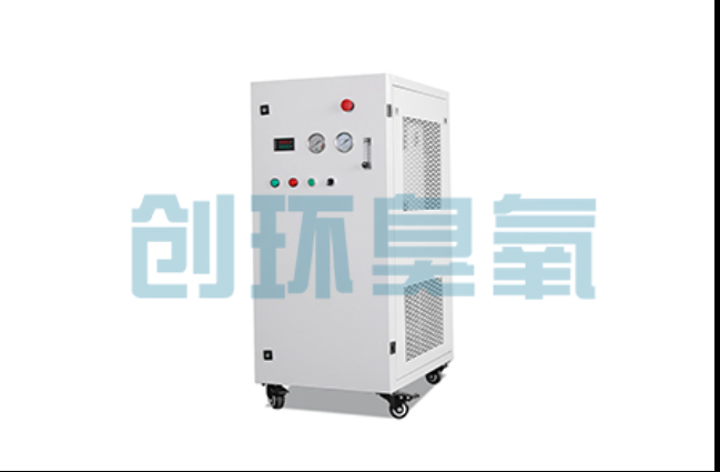 万宁工厂化养鲈必看：2026年臭氧发生器替代传统消毒的最新方案