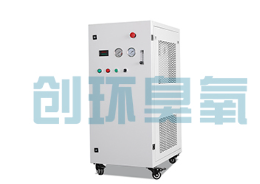 万宁石斑鱼养殖水质调控完整指南:臭氧发生器配置与操作步骤