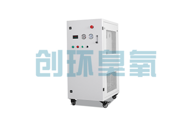 万宁比传统换水更高效?臭氧发生器在石斑鱼养殖中的水质净化原理解析